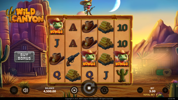 Wild Canyon 11
