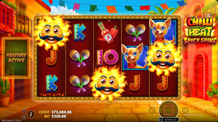 Chilli Heat Spicy Spins 14