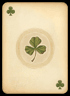 Deck of Scurra 8