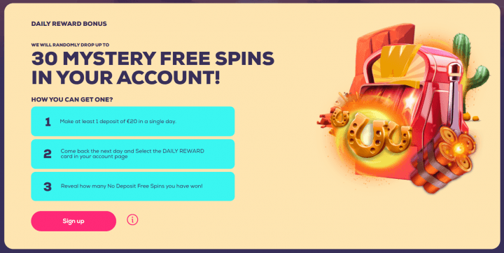 Wild Fortune Casino 3