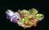 Big Bass Bonanza 1000 7