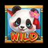 Fortune Pandas 3