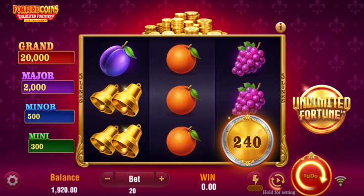 Fortune Coins Unlimited Fortune 13