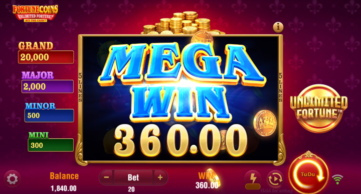 Fortune Coins Unlimited Fortune 14