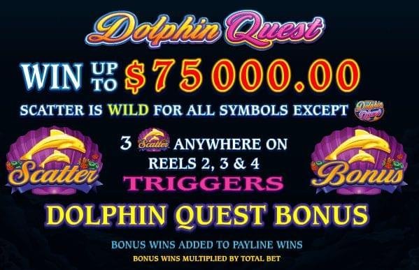 Dolphin Quest 1