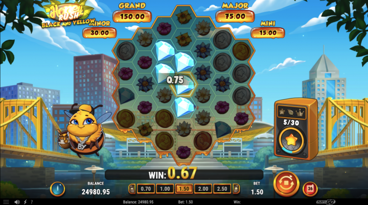 Honey Rush Black and Yellow 3