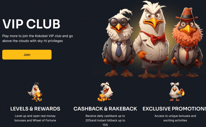 Kokobet Casino 4