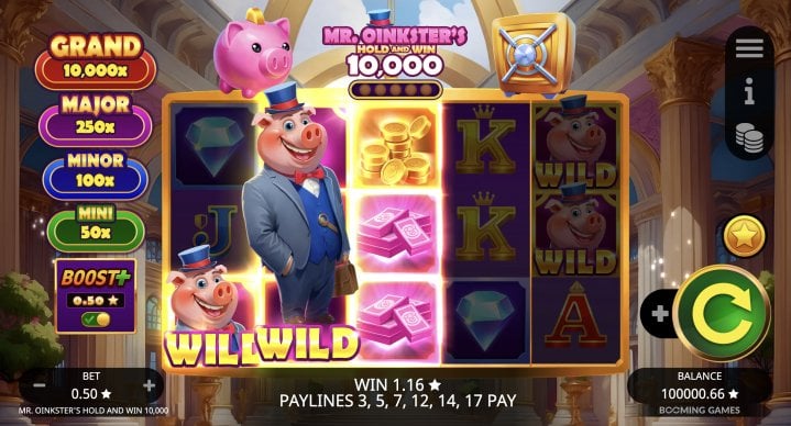 Mr. Oinkster’s Hold & Win 10,000 14