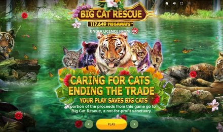 Red Tiger Big Cat Rescue Megaways Donates Spin Bets to Charity