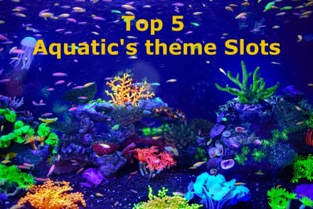 Top 5 Aquatic's theme Slots