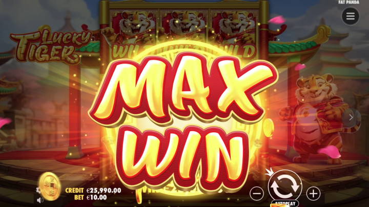 Lucky Tiger 12