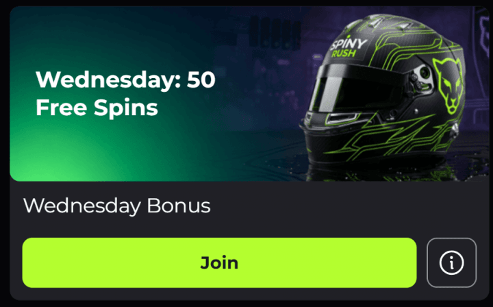 SpinyRush Casino 4