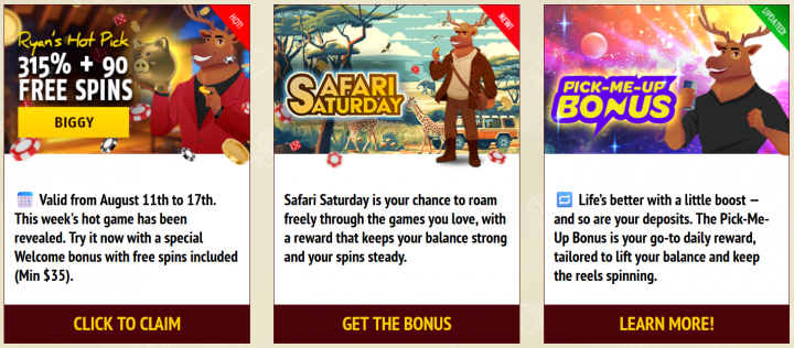 Red Stag Casino 3