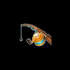 Big Bass Bonanza 1000 5