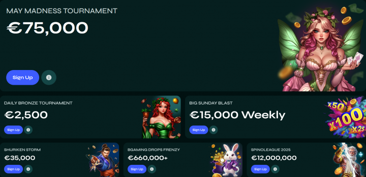 SavaSpin Casino 8