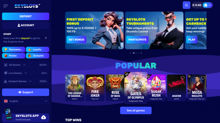 Skyslots Casino 1