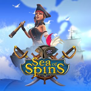  Sea of Spins review