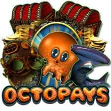  Octopays review