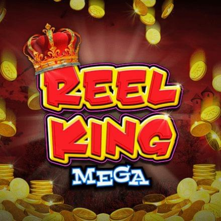  Reel King Mega review