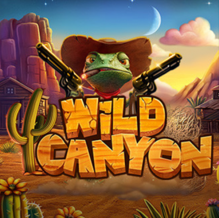  Wild Canyon review
