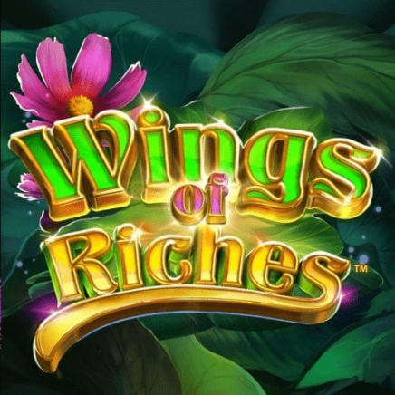  Wings of Riches review