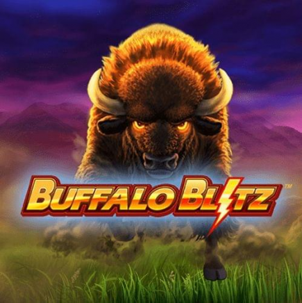  Buffalo Blitz review