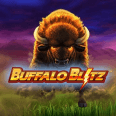  Buffalo Blitz review