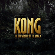  Kong review