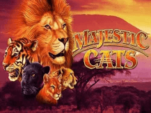  Majestic Cats review