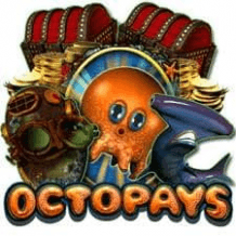  Octopays review