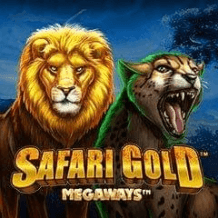  Safari Gold Megaways review