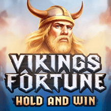  Vikings Fortune Hold and Win review