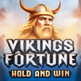  Vikings Fortune Hold and Win review
