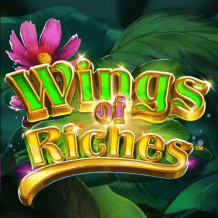  Wings of Riches review