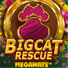  Big Cat Rescue Megaways review