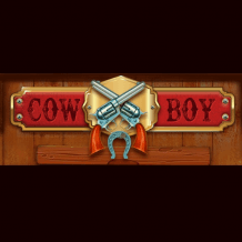  Cowboy review