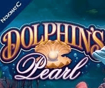  Dolphin´s Pearl review