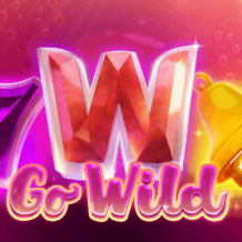  Go Wild review