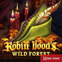  Robin Hood's Wild Forest review