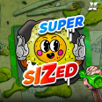  Supersized review