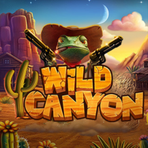  Wild Canyon review