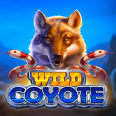  Wild Coyote review