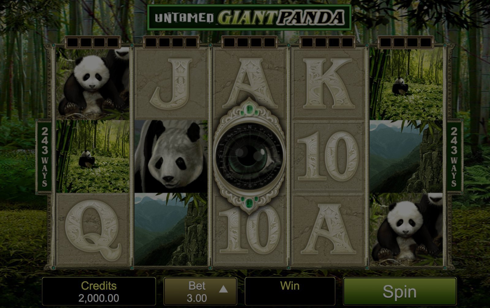 Untamed Giant Panda demo