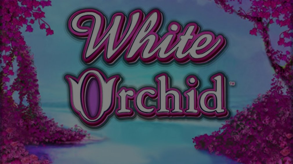 White Orchid demo