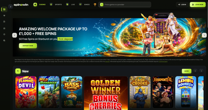 SpinzWin Casino 2