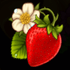 Bee Keeper 5