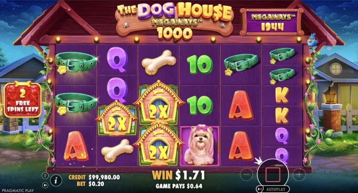 The Dog House Megaways 1000 13