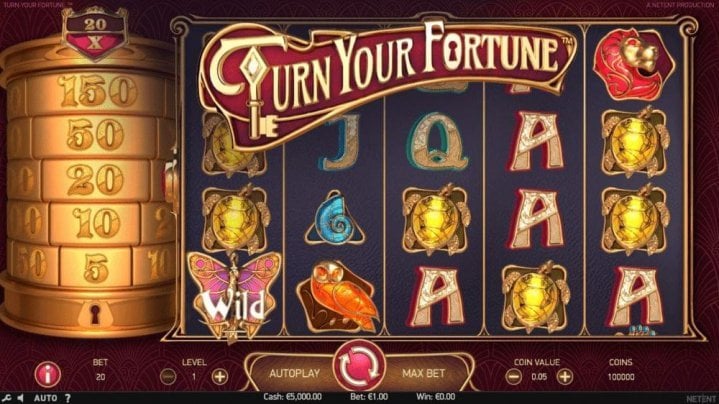Turn Your Fortune 1