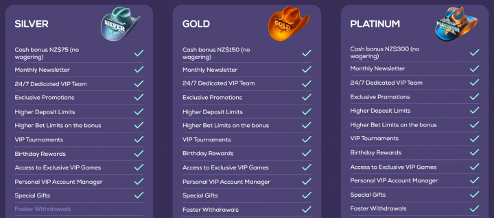 Wild Fortune Casino 12