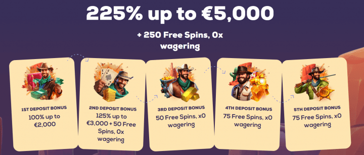 Wild Fortune Casino 2